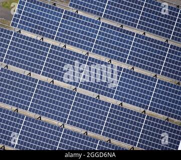 Sinsheim, Germania. 01 giugno 2021. Una pianta solare può essere visto su un sito a Sinsheim (foto aerea presa da un aereo). Credit: Uli Deck/dpa/Alamy Live News Foto Stock