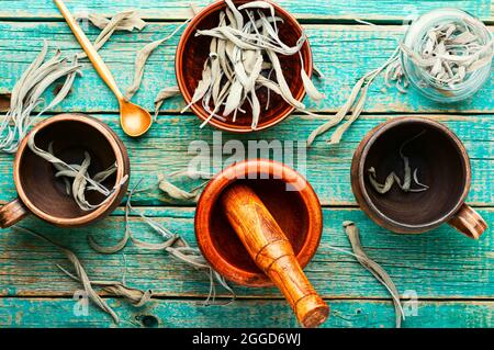 Foglie di salvia secche su rustico legno table.Medical herb Foto Stock