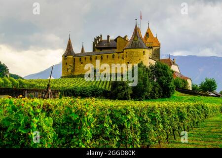 Castello di Aigle (Château d'Aigle) in paesaggio alpino. Castello di Aigle nel comune di Aigle del Cantone di Vaud in Svizzera. Foto Stock