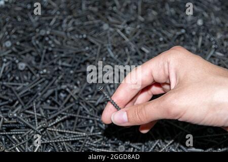 Mano che tiene una vite nera in metallo su uno sfondo di varie viti nere, vista dall'alto, primo piano. La scelta delle viti nel negozio. Acquisto della riparazione Foto Stock