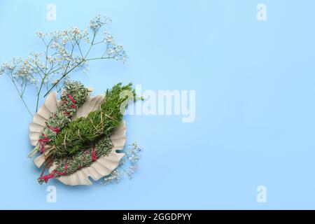 Erbe diverse per la pulizia dell'aura su sfondo colorato Foto Stock