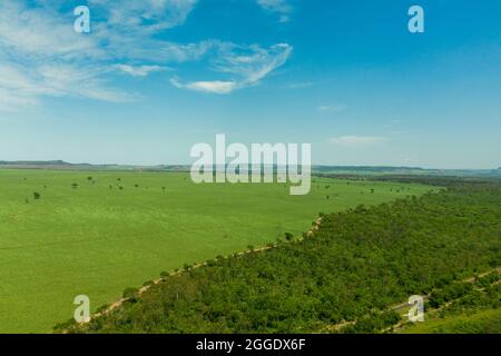 Vista aerea della zona con foresta e piantagione di canna da zucchero in Brasile. Foto Stock