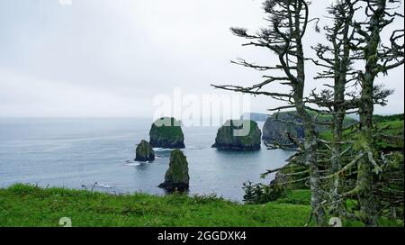 Scogliere verdi e baia delle isole Kuril. Shikotan. Foto Stock