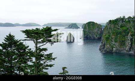 Scogliere verdi e baia delle isole Kuril. Shikotan. Foto Stock