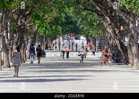 People, Habaneros, Cubans, passeggiando lungo Paseo del Prado, avenue, capitale Avana, provincia dell'Avana, grandi Antille, Caraibi, Cuba Foto Stock