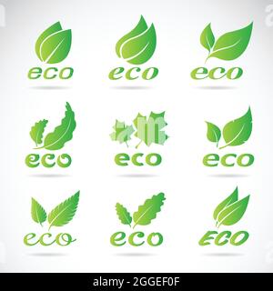 Design delle foglie verdi. Set di icone ecologiche. Eco icone verde vettore badge. Illustrazione Vettoriale