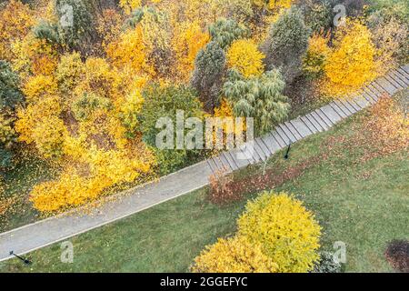 sentiero in pietra che passa attraverso il parco autunnale. colori vivaci degli alberi. vista dal punto di vista del drone. Foto Stock