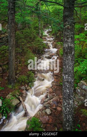 Cascate di Hadlock nel Parco Nazionale di Acadia nel Maine Foto Stock