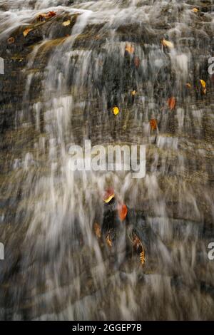 L'autunno si aggrappa alle cascate Laughing Whitefish Falls, NELLA PARTE SUPERIORE del Michigan Foto Stock