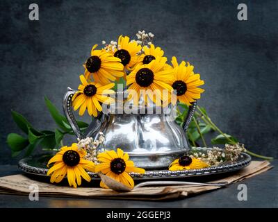 Composizione di natura morta di bel bouquet di margherite gialle in vaso metallico. Foto Stock