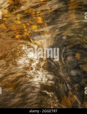 Luce applaiata sul Middle Patuxent River nella contea di Howard, Maryland Foto Stock