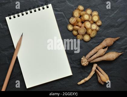 Fingerroot, Kaempfer con Open Blank Spiral notebook e matita su sfondo nero, Flat Lay Concept, Copy Space for Text. Foto Stock