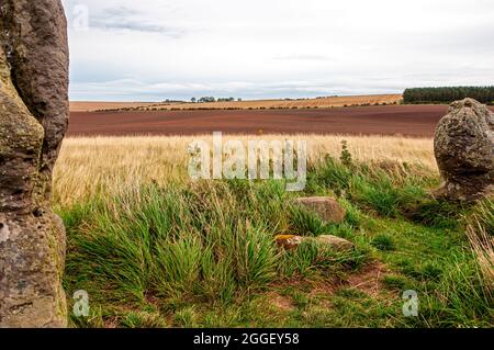 Due pietre preistoriche di cinque su un cavolo erboso, parte del monumento cerchio di pietra di Duddo, che mostrano profondi solchi dovuti agli agenti atmosferici Foto Stock