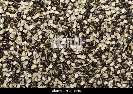 Primo piano di urad dal nero diviso organico (Vigna mungo) con sfondo full-frame shell. Vista dall'alto Foto Stock