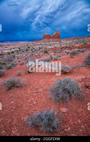 Vista su Red Rock vicino al Courthouse Wash nel parco nazionale di Arches Foto Stock