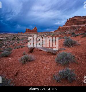 Vista su Red Rock vicino al Courthouse Wash nel parco nazionale di Arches Foto Stock