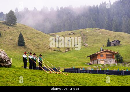 Unplugged Taste è il nome dell'evento gastronomico al Gompm-Alm in Alto Adige, Italia. Si svolge ogni anno l'ultima domenica di agosto. Gli Alphorns appartengono al folklore generoso Foto Stock