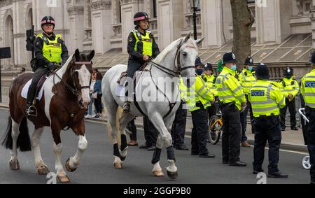 Londra, Regno Unito. 31 ago 2021. XR manifestanti stadio a Sit Down protesta fuori Downing Street, Londra, UK City of London polizia cavalli rinforzato fila di polizia, Credit: Ian Davidson/Alamy Live News Foto Stock