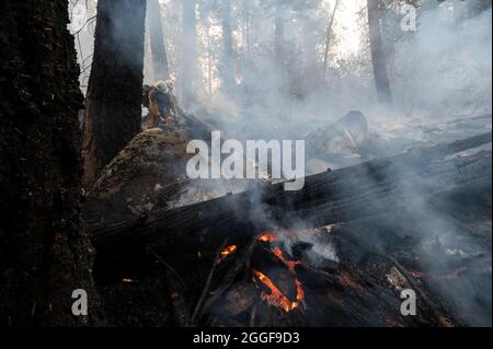 El Dorado County, NV, USA. 31 ago 2021. I vigili del fuoco della contea di El Dorado proteggono le case su Snowflake Drive durante il fuoco di Caldor alla valle di Natale il martedì 31 agosto 2021 nella contea di El Dorado. (Credit Image: © Paul Kitagaki Jr./ZUMA Press Wire) Foto Stock