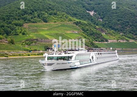 Fiume Reno - 16 luglio 2017: MS Emily Bronte crociera sul fiume Reno e i suoi maestosi vigneti e castelli. Foto Stock