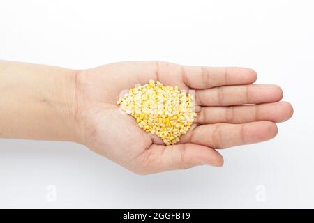 Macro primo piano di gram giallo organico (Vigna radiata) o molong giallo diviso dal sul palmo di una mano femminile. Vista dall'alto Foto Stock