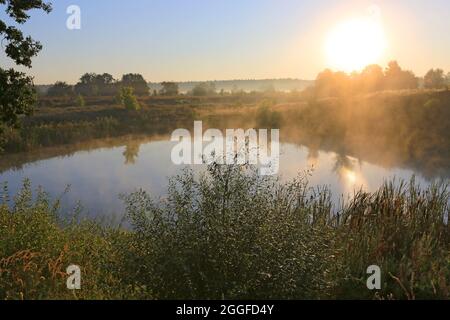 Alba mattina su piccolo alke in steppa Foto Stock