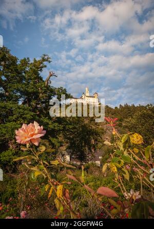 Vista di Marksburg dal parco giardino di rose sulle rive del reno Foto Stock