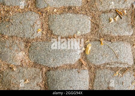 Immagine di pavimentazioni in granito con resti di foglie asciutte tra le assi. Sfondo di texture vettoriale di pietra Foto Stock