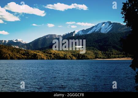 Regina del lago, RARA Foto Stock