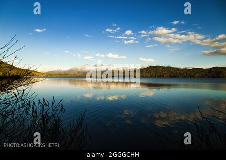 Regina del lago, RARA Foto Stock