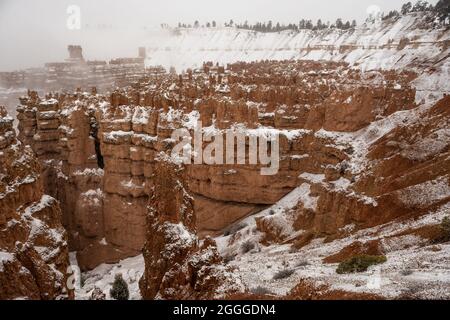 Neve fresca sull'anfiteatro di Bryce dal Rim Trail Foto Stock