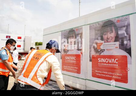 Phnom Penh, Cambogia. 31 ago 2021. Pacchetti di vaccini Sinovac COVID-19 della Cina sono visti all'aeroporto internazionale di Phnom Penh a Phnom Penh, Cambogia, 31 agosto 2021. PER ANDARE CON 'Roundup: Il vaccino della Cina COVID-19 aumenta l'impulso di inoculazione della Cambogia' Credit: Ly Lay/Xinhua/Alamy Live News Foto Stock