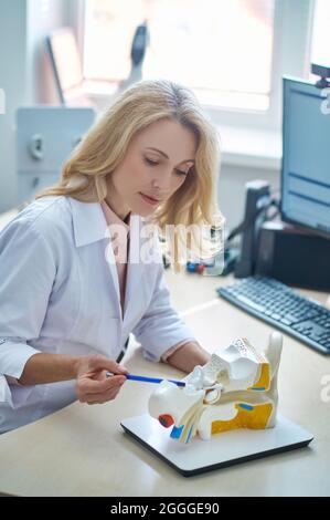 Dottore serio della signora che mostra un modello di dimostrazione di sistema uditivo Foto Stock