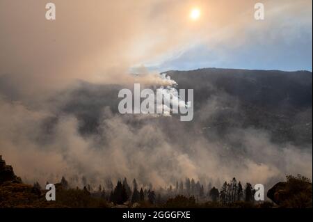 El Dorado County, NV, USA. 31 ago 2021. Il fuoco brucia lungo il lato orientale della valle di Natale durante il fuoco di Caldor il martedì 31 agosto 2021 nella contea di El Dorado. (Credit Image: © Paul Kitagaki Jr./ZUMA Press Wire) Foto Stock