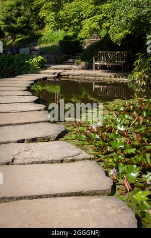 Giardino giapponese a Westfalenpark Dortmund Foto Stock