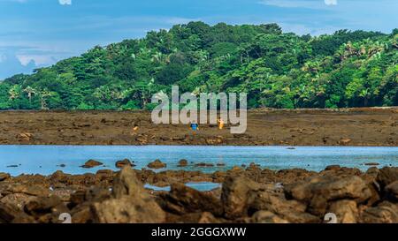 Persone che camminano tra formazioni rocciose vulcaniche che possono essere viste durante la bassa marea. Costa pacifica del Costa Rica, America Centrale. Foto Stock