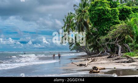 Due uomini locali del Costa Rica che camminano ad una spiaggia sabbiosa bella bordered con le alte palme di cocco verdi alla costa pacifica del Costa Rica tropicale. Foto Stock