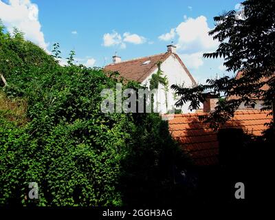 Tetti di Szentendre in Ungheria paese Foto Stock