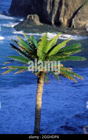 NUOVA CALEDONIA. BIG ISLAND, REGIONE DI BOURAIL. LA ROCHE PERCEE BEACH Foto Stock