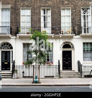 Case di Londra. La facciata di una fila di tradizionali case cittadine georgiane vicino a Russel Square nel ricco quartiere residenziale di Fitzrovia. Foto Stock