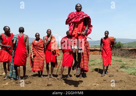 I guerrieri Maasai che eseguono tradizionali balli di salto nella Riserva Nazionale Maasai Mara. Foto Stock