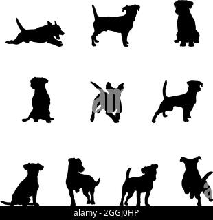 Jack Russell Terrier, cane realistico, bianco e nero, immagine per decorazione, imballaggio e stampa, cane, vettore Illustrazione Vettoriale