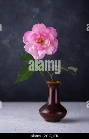 rosa rosa singola in vaso marrone, posta su un tavolo bianco punteggiato, isolato contro uno sfondo scuro Foto Stock