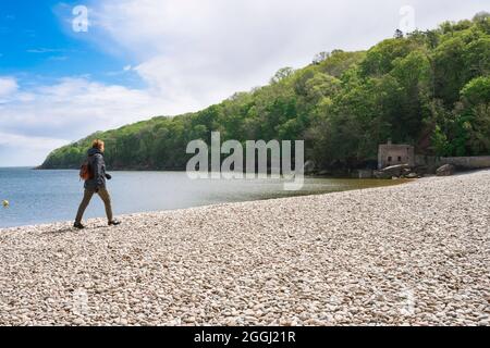 Donna che cammina, vista di una donna che cammina da sola attraverso la spiaggia di Elberry Cove, South West Coast Path, South Devon, Inghilterra, Regno Unito Foto Stock