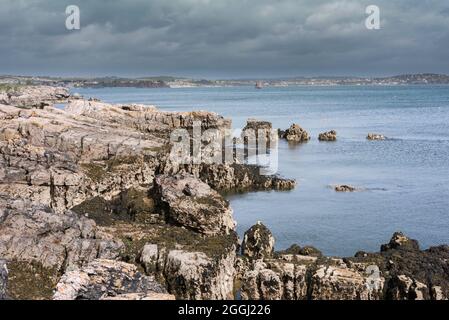 Devon costa, vista di un tratto di costa frastagliata vicino a Elberry in Torbay, South Devon, Inghilterra, Regno Unito Foto Stock