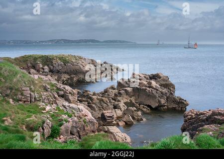 Devon costa, vista di un tratto di costa frastagliata vicino a Elberry in Torbay, South Devon, Inghilterra, Regno Unito Foto Stock