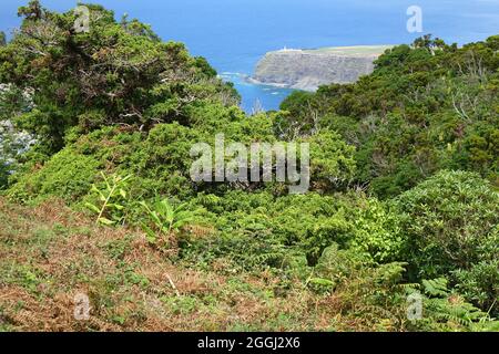 Costiera panoramica con scogliere sulle Azzorre Foto Stock