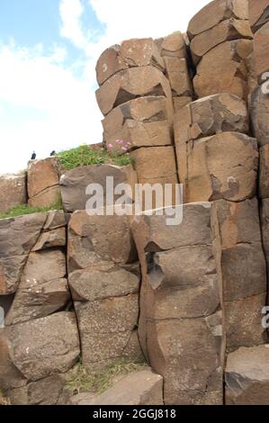 Colonne basaltiche, Giant's Causeway, Co Antrim, Irlanda del Nord, Regno Unito. Il Selciato del Gigante è costituito da colonne di basalto, probabilmente estruse da sotto il Foto Stock