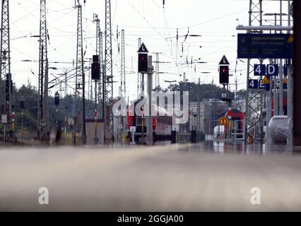 Cottbus, Germania. 01 Settembre 2021. Il binario 4 della stazione centrale per il traffico ferroviario regionale è vuoto. Oltre allo sciopero nel traffico passeggeri, l'Unione dei macchinisti tedeschi (GDL) ha richiesto uno sciopero di oltre cinque giorni nel traffico merci della ferrovia. Durante lo sciopero della GDL, Deutsche Bahn prevede di offrire circa un quarto del normale orario per il traffico su lunghe distanze in tutta la Germania. Credit: Soeren Stache/dpa-Zentralbild/ZB/dpa/Alamy Live News Foto Stock