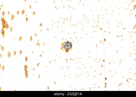 spioncino della lente della porta su legno bianco deteriorato all'esterno Foto Stock